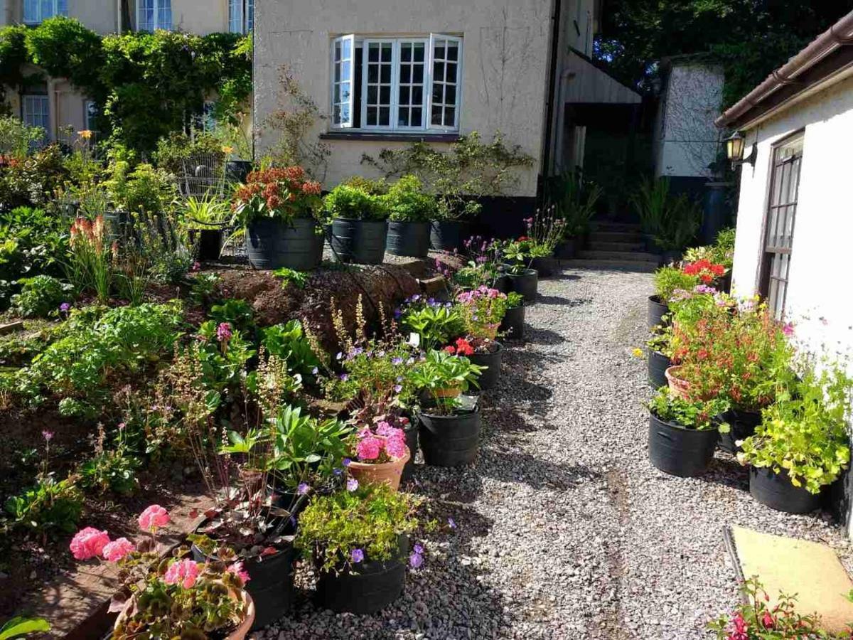 Brambles Bed And Breakfast Тівертон Екстер'єр фото